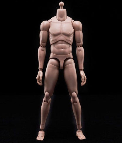 Blank Skin Paintable Male Action Figure Body and Parts