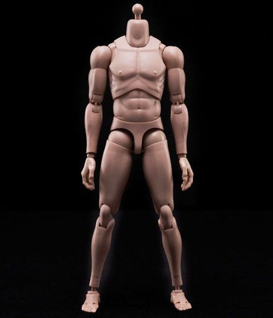 Blank Skin Paintable Male Action Figure Body and Parts